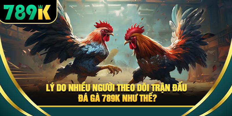 Đá Gà 789K - Sảnh Game Trực Tuyến Kịch Tính Từng Trận